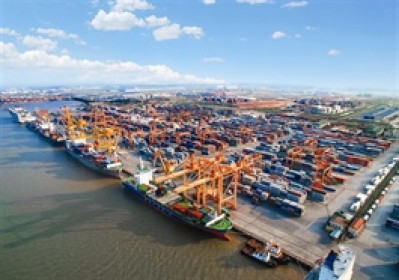 Cảng Đình Vũ sắp chia cổ tức tiền mặt 5,000 đồng/cp