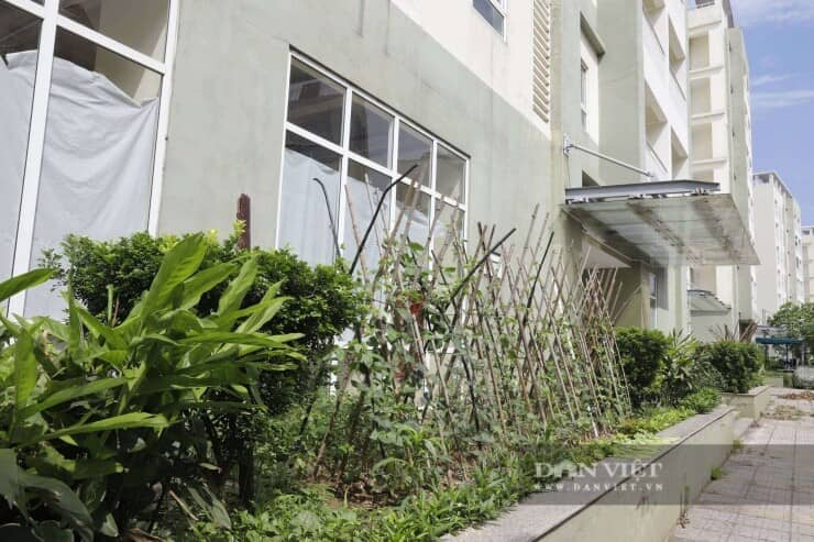 Cận cảnh khu tái định cư sẵn sàng đón người dân nhường đất xây siêu cầu Trần Hưng Đạo và Tứ Liên