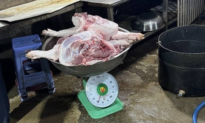 TP HCM chặn 8 tấn thịt heo, gia cầm không kiểm dịch