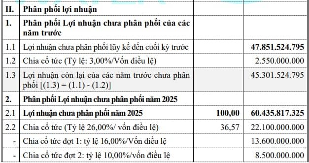 TDW chi cổ tức đợt 1 năm 2025, tỷ lệ 16%