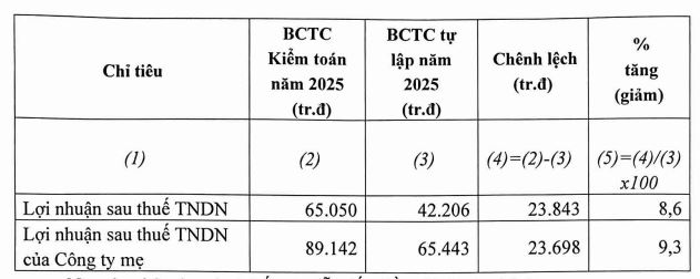Báo cáo kiểm toán nhận ý kiến ngoại trừ 3 năm liền, VNE vào diện hủy niêm yết bắt buộc