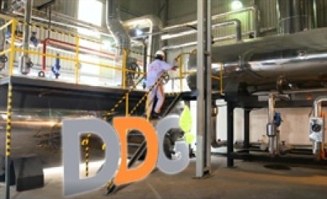 DDG giải trình về khả năng bị hủy niêm yết