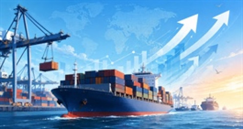 Doanh nghiệp vận tải biển hưởng trái ngọt từ đầu tư tàu mới