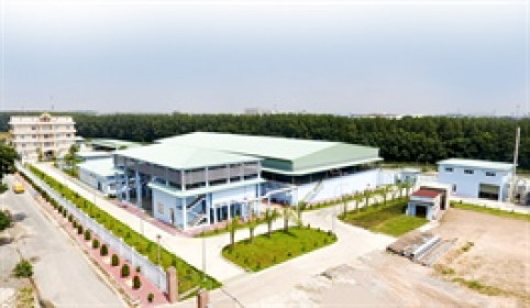 TDM muốn mua cổ phần PWS giữa lúc công ty của Shark Liên thoái sạch vốn