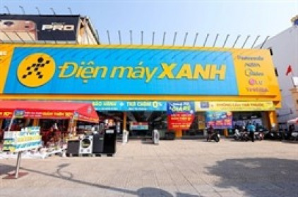 IPO Điện Máy Xanh: lần đầu lộ diện con số tài chính độc lập - Bứt phá lợi nhuận từ sức mạnh cốt lõi
