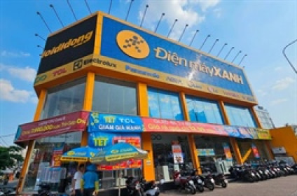 CEO Điện Máy Xanh nói về 5 trụ cột tăng trưởng sau IPO