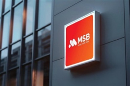 Một cổ đông Nhà nước hoàn tất thoái vốn Ngân hàng MSB