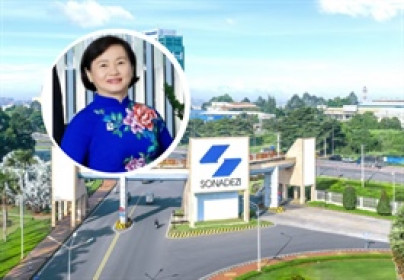 Trưởng Ban kiểm soát Sonadezi Đặng Lê Bích Phượng bị khởi tố, bắt tạm giam