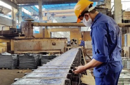 TMG chi trả phần cổ tức còn lại năm 2025 với tỷ lệ 35%