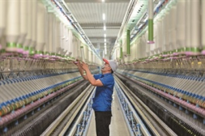 Vicotex muốn thoái sạch vốn tại VicoLuch