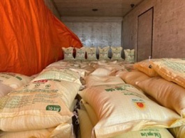 Cổ phiếu Lộc Trời thoát diện cảnh báo nhưng vẫn bị hạn chế giao dịch