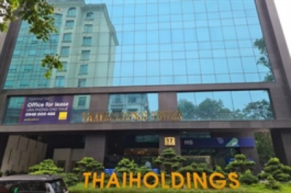Cổ phiếu tăng gấp 4 lần, Thaiholdings nói không có thông tin nội bộ chưa công bố