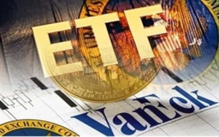 Dự báo đảo danh mục ETF quý 2: DGC bị loại khỏi VNM ETF?