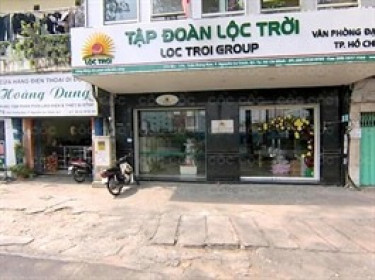 Ngân hàng sắp thu giữ 2 khu đất "vàng" ngay trung tâm TPHCM của Lộc Trời