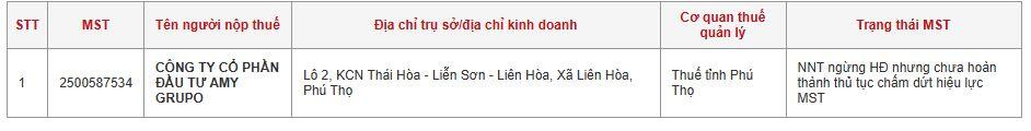 Từng nắm gần nửa vốn doanh nghiệp chi hơn ngàn tỷ cổ tức, Đầu tư Amy Grupo bất ngờ giải thể vì “hoạt động không hiệu quả”