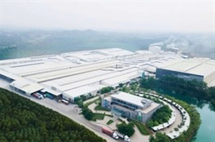 Từng nắm gần nửa vốn doanh nghiệp chi hơn ngàn tỷ cổ tức, Đầu tư Amy Grupo bất ngờ giải thể vì “hoạt động không hiệu quả”
