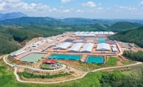 BAF chốt phát hành 60 triệu cổ phiếu