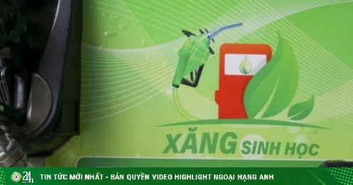 Các hãng xe đồng loạt công bố danh mục xe tương thích xăng E10