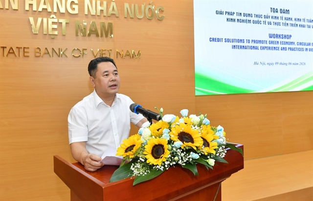 Tín dụng xanh tăng tốc, hướng tới tăng trưởng bền vững- Ảnh 1.