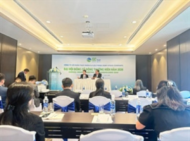 ĐHĐCĐ GCF: Muốn mua lại hơn 9% cổ phiếu lưu hành, AIG nói gì về tương lai doanh nghiệp?