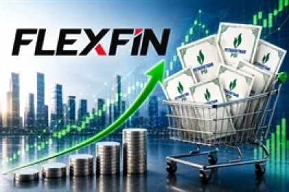 Ai đứng sau Flexfin - cổ đông lớn mới của Chứng khoán Dầu Khí?