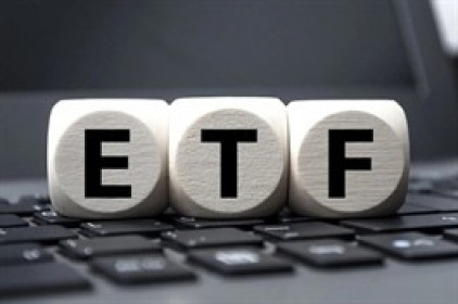 Kết quả review VNM ETF quý 2: Chưa loại DGC