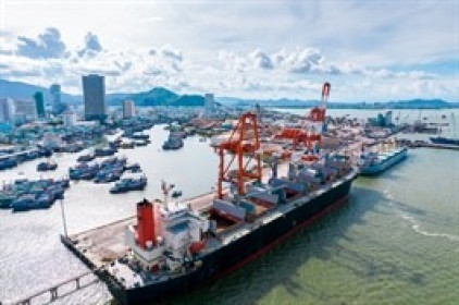 Cảng Quy Nhơn chốt chia cổ tức 14%
