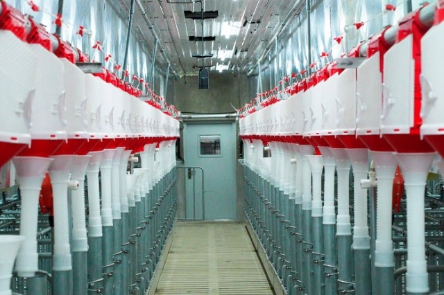 BAF ra mắt trại công nghệ cao, hé lộ mục tiêu đưa giá vốn về dưới 40,000 đồng/kg