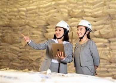 Chủ tịch Đặng Huỳnh Ức My hoàn tất mua gần 43 triệu cổ phiếu SBT