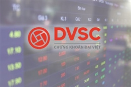 Chứng khoán Đại Việt dự kiến đưa 25 triệu cp lên UPCoM, mục tiêu thoát lỗ sau tái cấu trúc