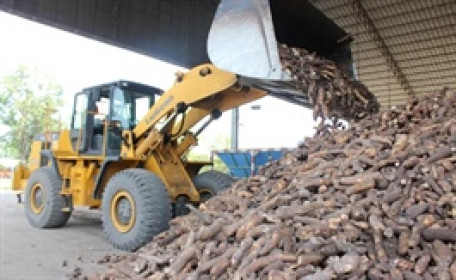 Xăng E10 mở đường cho thị trường nguyên liệu tỷ đô