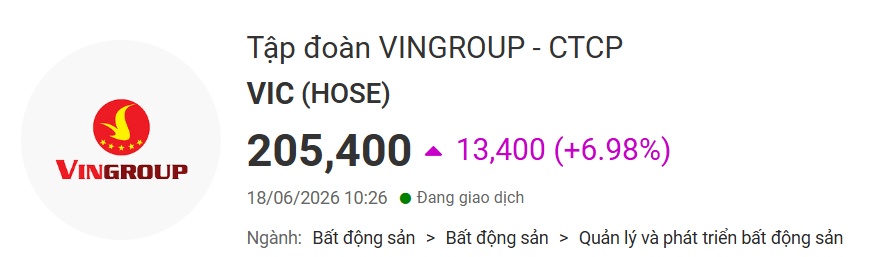 Nhóm cổ phiếu "họ Vingroup" phủ tím bảng điện