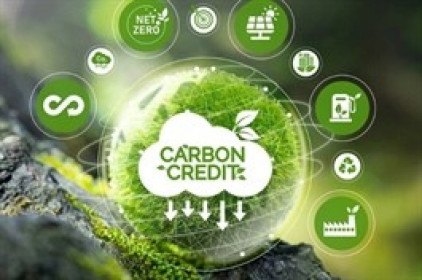 Những công ty chứng khoán đầu tiên tham gia thị trường carbon