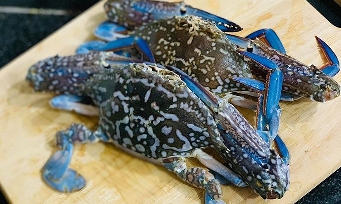 Xuất khẩu ghẹ Việt sang Mỹ tăng mạnh