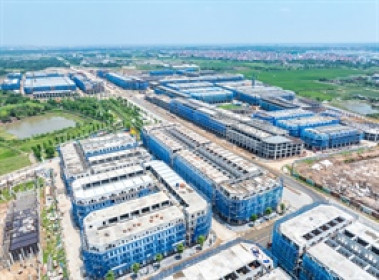 Tập đoàn Sunshine muốn chi gần 1,500 tỷ để nhận chuyển nhượng gần 48% vốn tại Đầu tư DIA