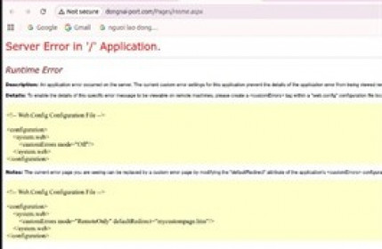 Cảng Đồng Nai công bố sự cố website