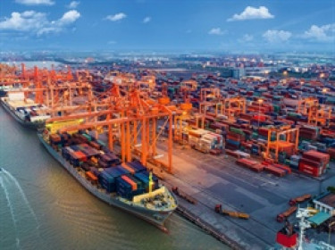 Cảng Hải Phòng sắp chi gần 300 tỷ đồng trả cổ tức