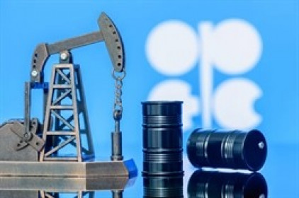 OPEC lung lay khi Iraq dọa rời khối, giá dầu có thể lao dốc dưới 50 USD/thùng