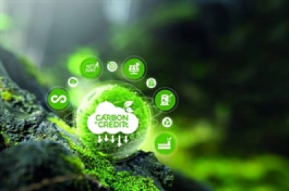 VN2025 - sản phẩm đầu tiên của sàn giao dịch carbon