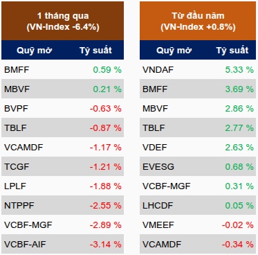 Các quỹ đầu tư đã làm gì để chiến thắng VN-Index?