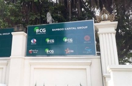 BCG và TCD khả năng bị hủy niêm yết bắt buộc