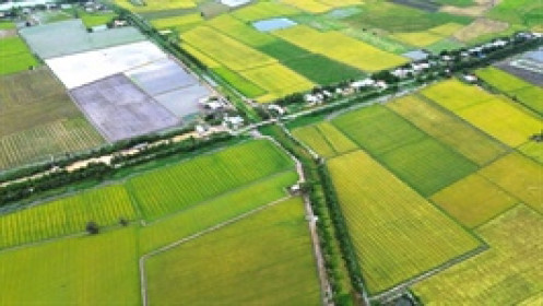 Chính phủ điều chỉnh giảm hơn 1.1 triệu ha đất nông nghiệp đến 2030