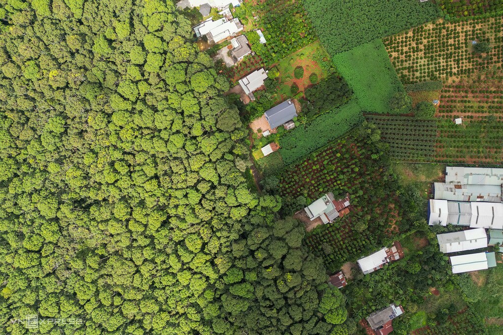 Việt Nam thu 56,5 triệu USD từ bán tín chỉ carbon cho World Bank