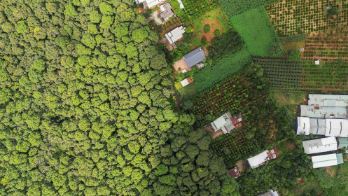 Việt Nam thu 56,5 triệu USD từ bán tín chỉ carbon cho World Bank