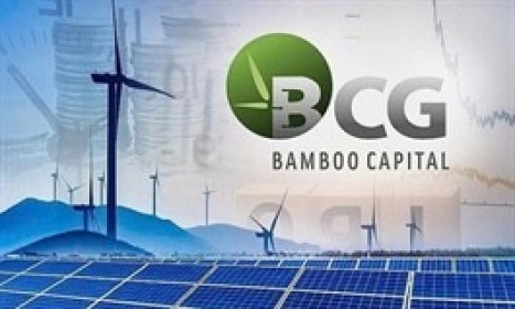 BCG và TCD chính thức hủy niêm yết từ 15/07