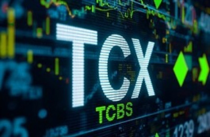 TCBS đóng 3,980 tỷ đồng tiền thuế năm 2024 - 2025