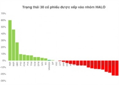 HALO - "lá chắn" mới cho nhà đầu tư chứng khoán hay chỉ là bình mới rượu cũ?