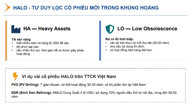 HALO - "lá chắn" mới cho nhà đầu tư chứng khoán hay chỉ là bình mới rượu cũ?