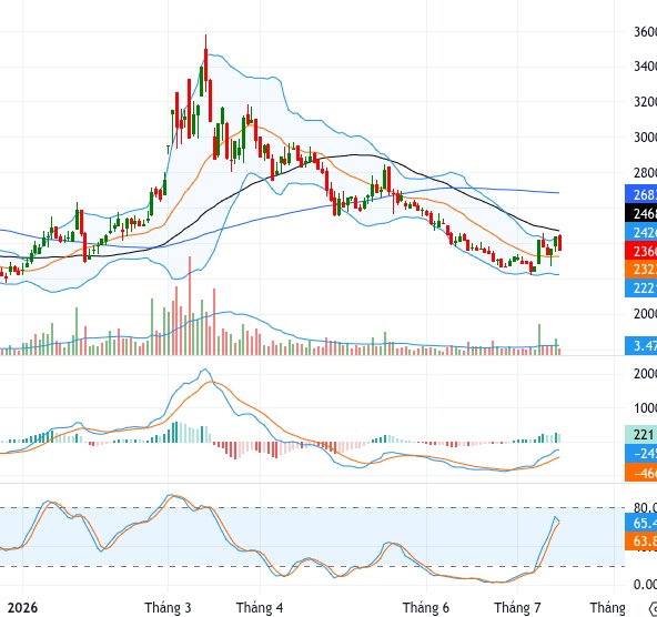 Nắm giữ TPB, VHM, MBB, HDB hay VNM? Tín hiệu kỹ thuật mới nhất có thể khiến bạn bất ngờ
