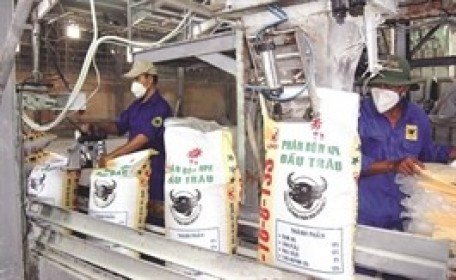 Phân bón Bình Điền sắp chia cổ tức 200 tỷ, lãi bán niên hoàn thành 79% kế hoạch năm